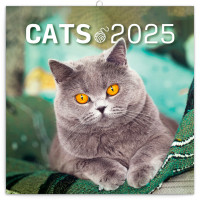 Poznámkový kalendár Mačky 2025, 30 × 30 cm