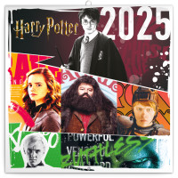 Poznámkový kalendár Harry Potter 2025, 30 × 30 cm
