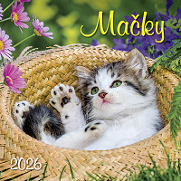 Kalendár nástenný  Mačky /SG/
