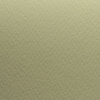 PRISMA 1/S 04 CHAMOIS 220g/m2 70x100cm *