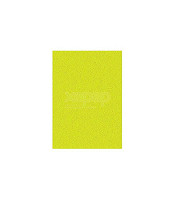 MAESTRO COLOR 80g/m2 A4 Neon Green /20 listov