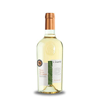 Víno PINOT GRIGIO VALDADIGE DOC 2019 Il Casato