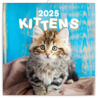 Poznámkový kalendár Mačiatka 2025, 30 × 30 cm