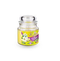 Sviečka v skle Citronella repelentná 120g