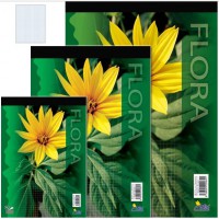 Blok A5 15085/4b 80 listový štvorčekový